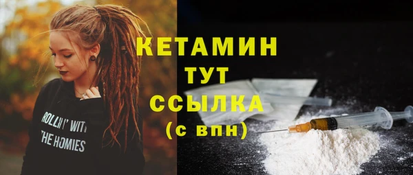 шишки Богородицк