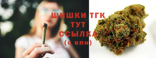 шишки Богородицк