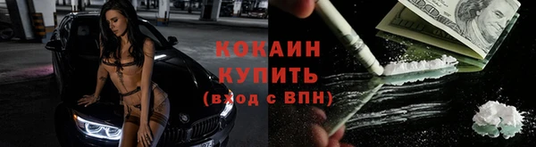 шишки Богородицк