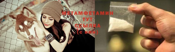 шишки Богородицк