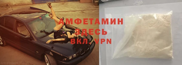шишки Богородицк