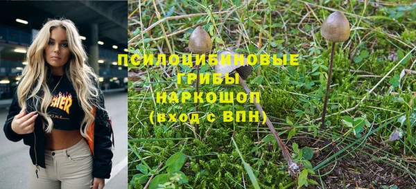 не бодяженный Богданович