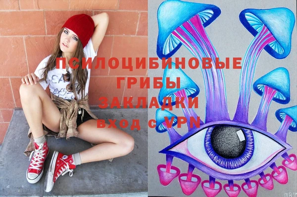 шишки Богородицк