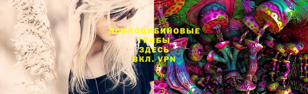 шишки Богородицк