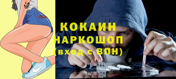 шишки Богородицк