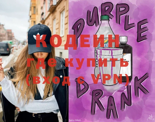 шишки Богородицк